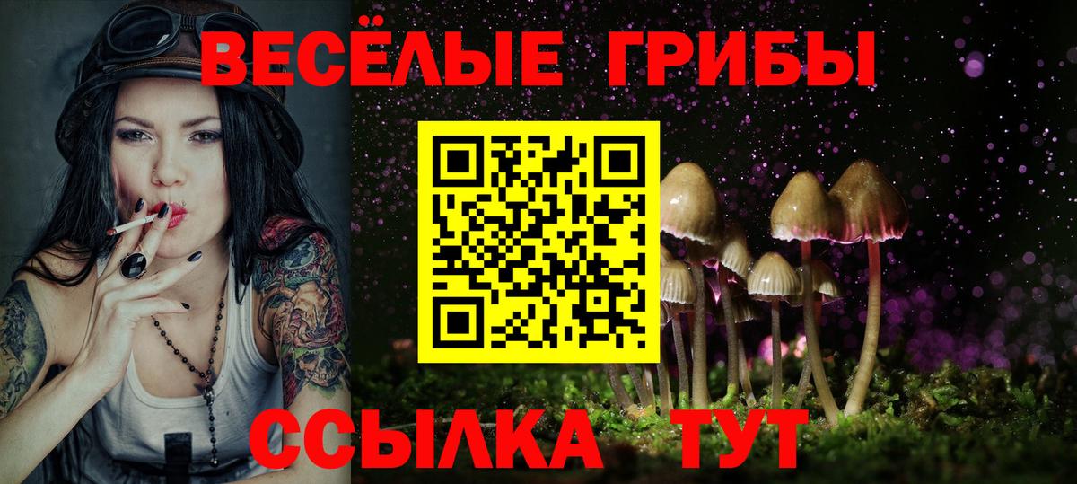 Галлюциногенные грибы Psilocybe  Псилоцибиновые грибы Magic Shrooms  Учалы  Вход с VPN 